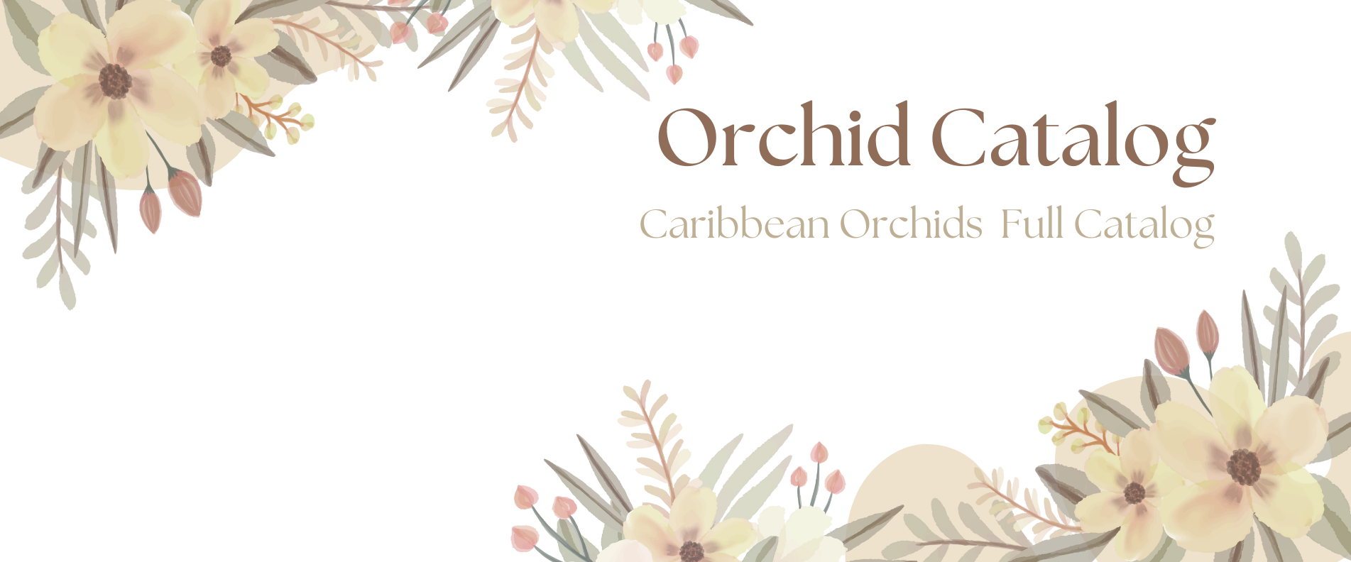 orchid_catalog_all
